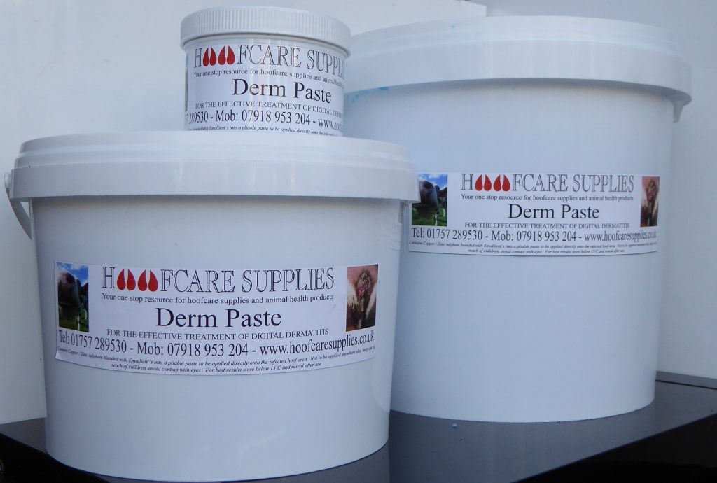 Derm paste