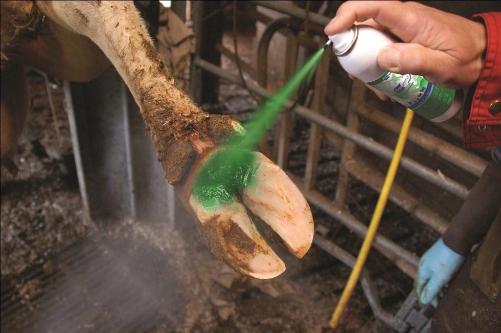 Repiderma spray - Image 2