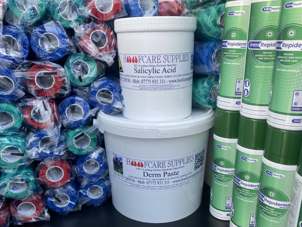 Digi derm kit